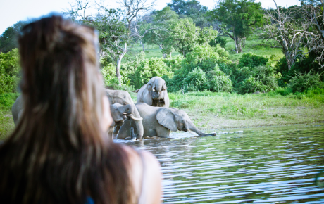 Chobe river cruise